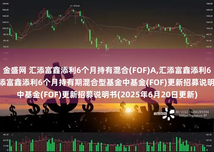 金盛网 汇添富鑫添利6个月持有混合(FOF)A,汇添富鑫添利6个月持有混合(FOF)C: 汇添富鑫添利6个月持有期混合型基金中基金(FOF)更新招募说明书(2025年6月20日更新)
