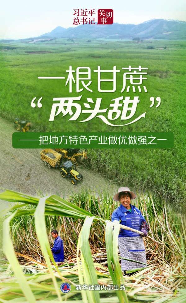 融易盈 习近平总书记关切事｜一根甘蔗“两头甜”——把地方特色产业做优做强之一